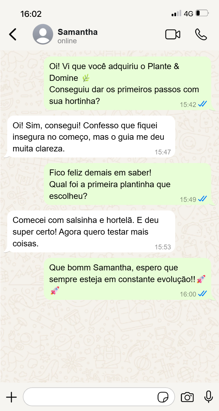 Conversa WhatsApp - Samantha